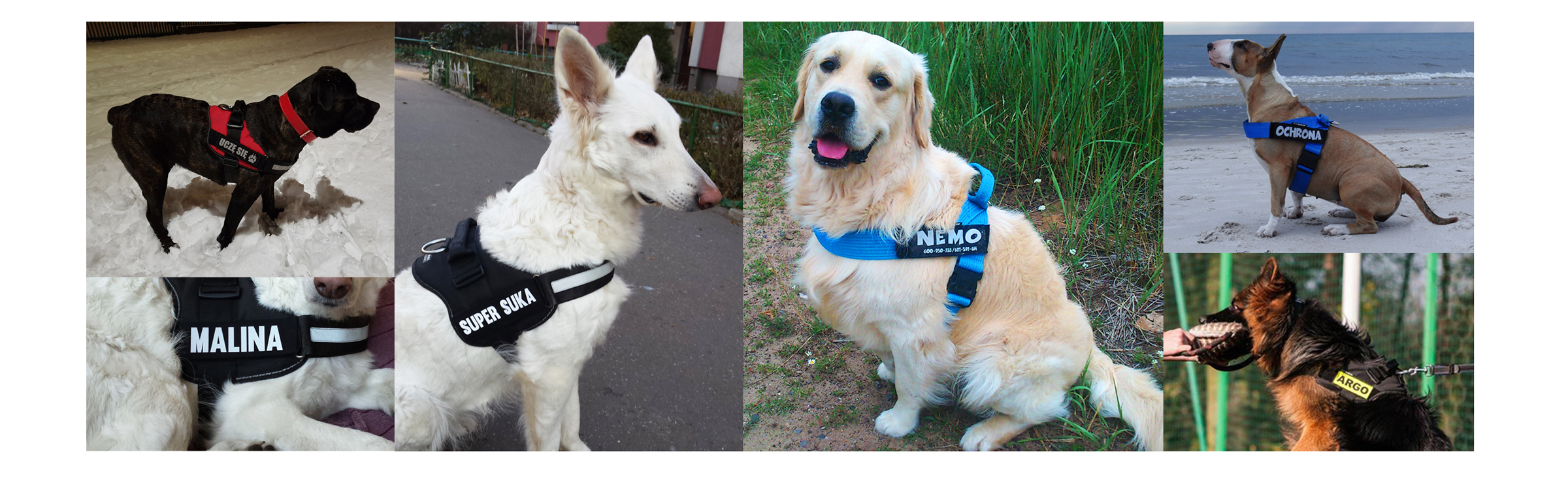 NAKŁADKA ODBLASKOWA SZELKI JULIUS-K9 TWÓJ NADRUK Nazwa handlowa Nakładka na szelki Julius