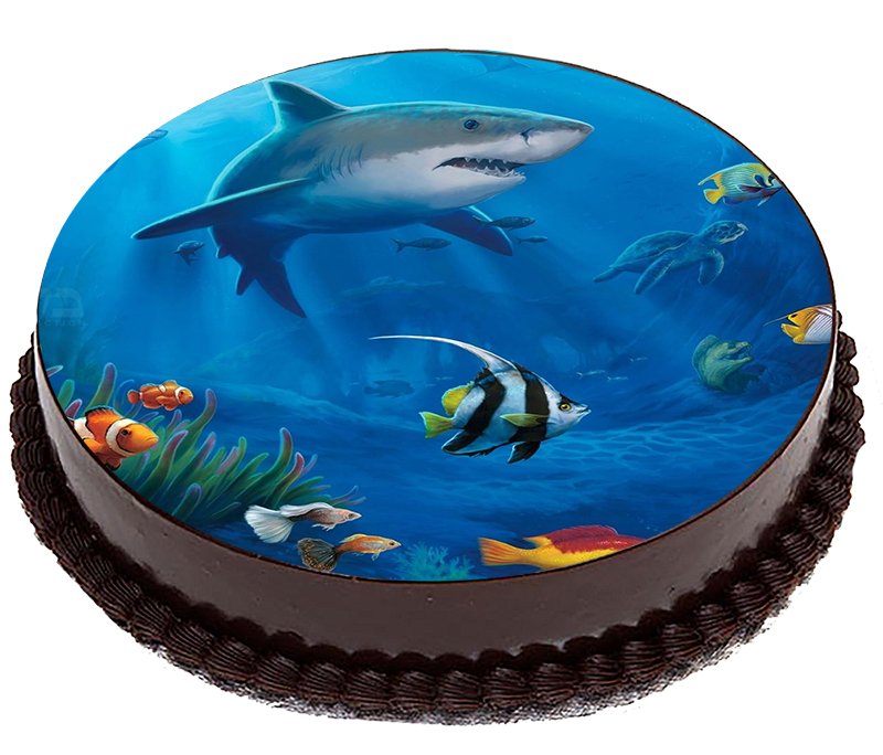 Opłatek Na Tort Rekiny Delfiny Rekin Delfin 20cm