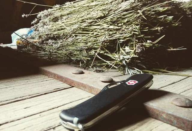 Nóż scyzoryk VICTORINOX Sentinel Clip 0.8416.M3 Marka Victorinox