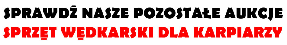 Delphin iTON - sygnalizator brań Marka Delphin