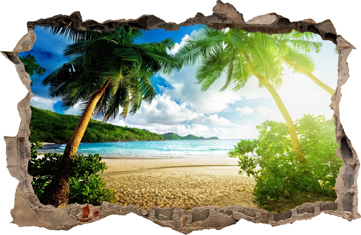 

Naklejki Na Ścianę Dziura Plaża Palmy 01 70x46 cm