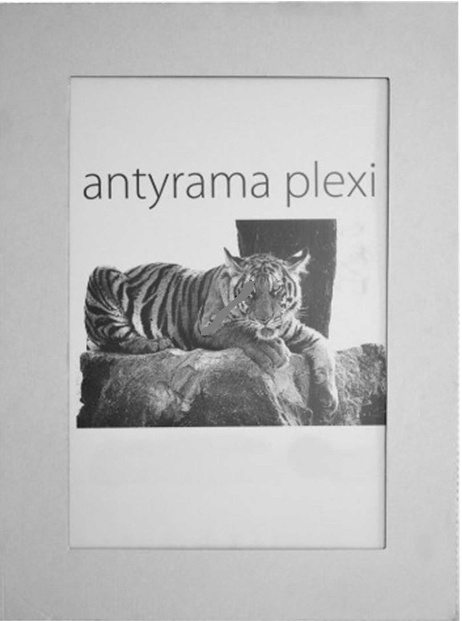 

Antyrama Plexi A6 15x10 Antyramy Ramka 10X15