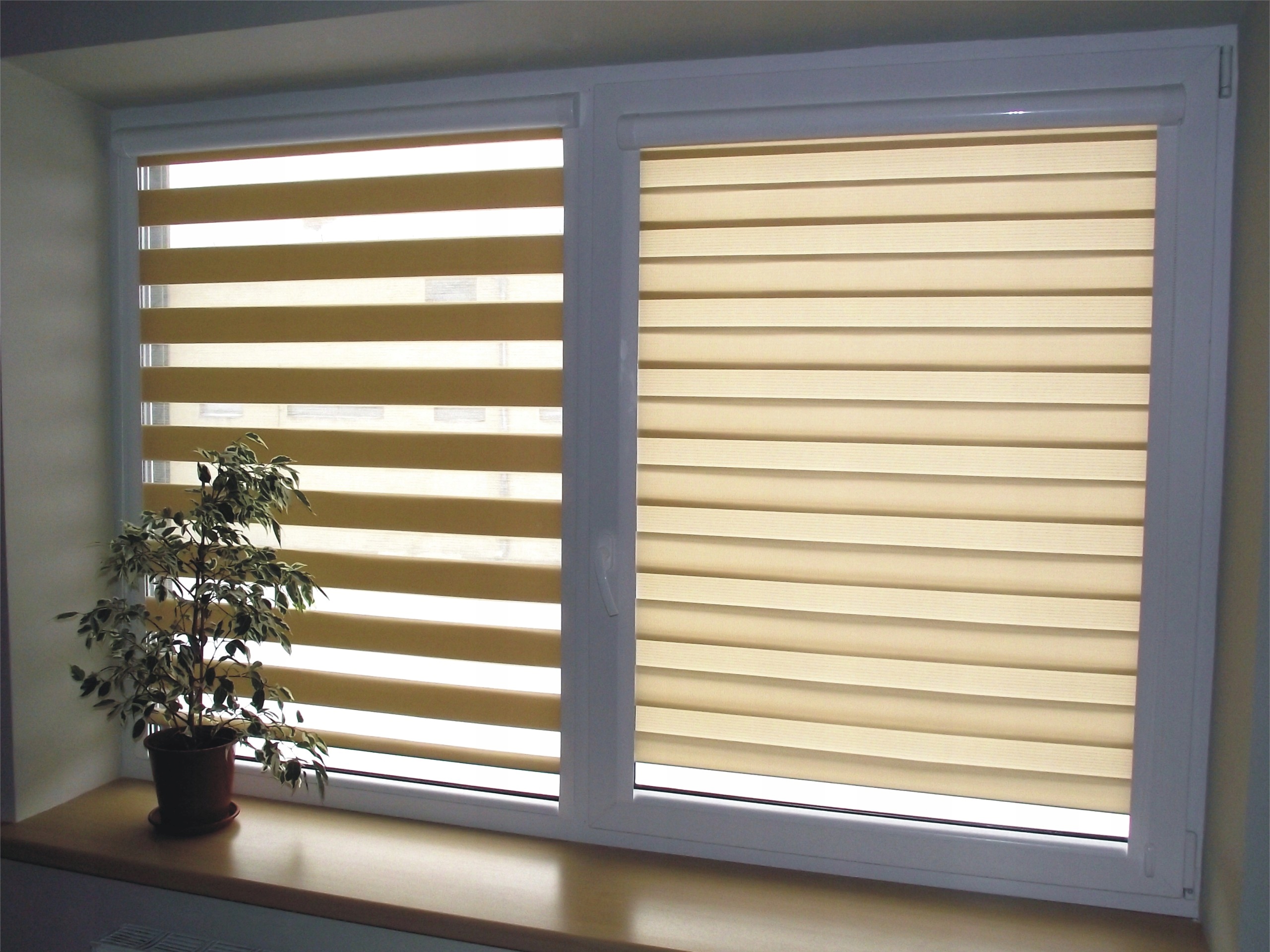 roleta dzień i noc w kasecie na okno balkonowe DN 7584533896