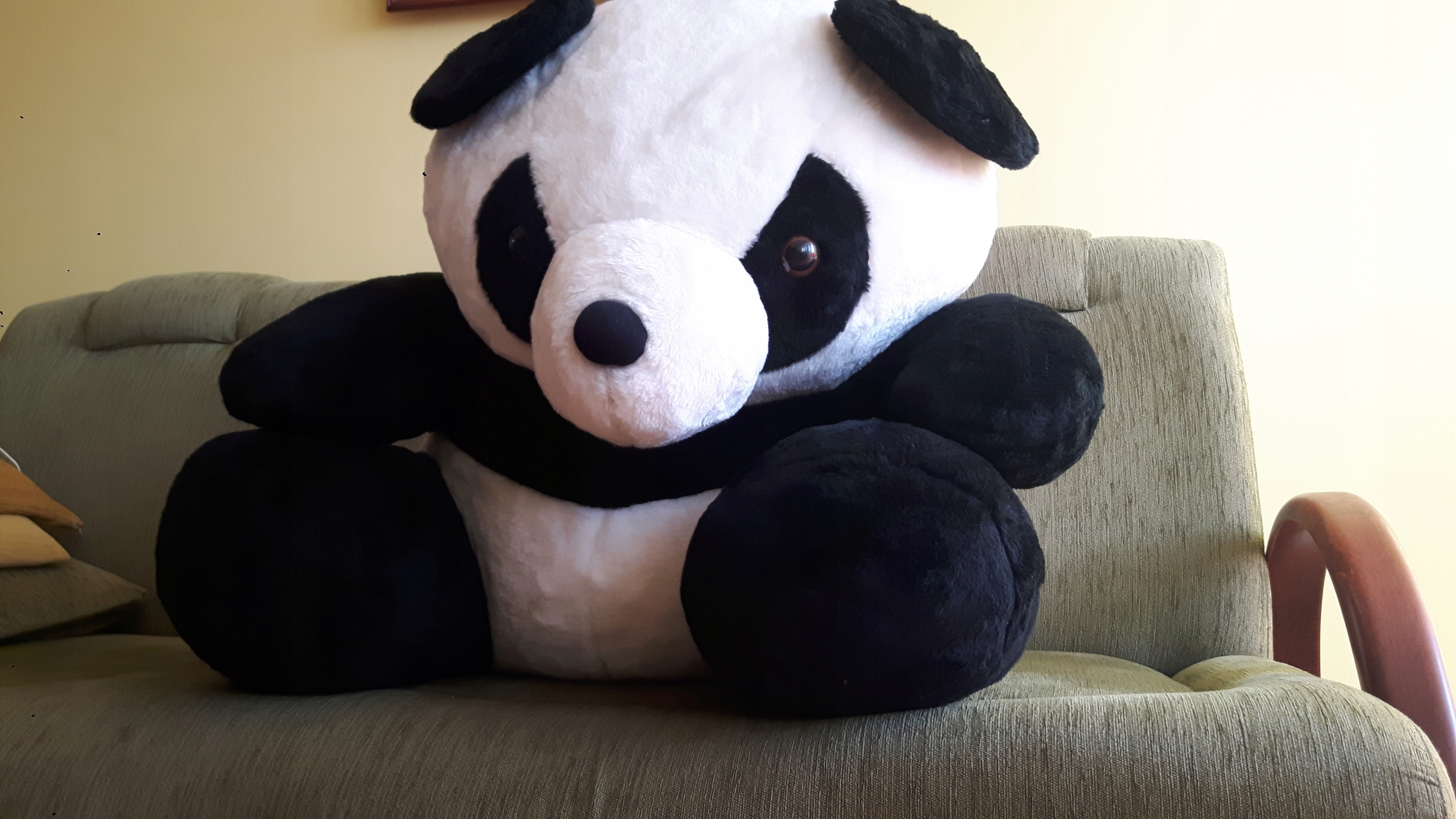 śliczna Panda Nowa Duży Miś Zabawka 7581518316 Oficjalne