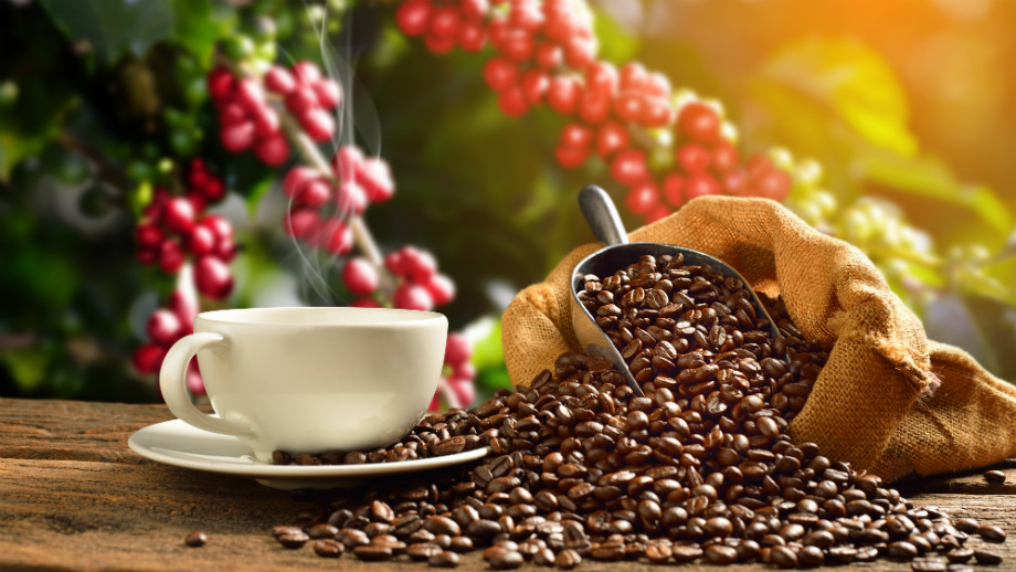 Kawy świata – czym różnią się i jak smakują ziarna z różnych zakątków?