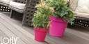 фото mini №2, Flowerpot prosperplast 16 centimeters x 16 x 14, 5 centimeters diameter 16 centimeters plastic shades of orange
