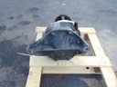 Mercedes w204 мост задний дифференциал 20435019623, купить с разборки