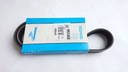 Dayco 6pk894 ремешок, пояс клиновой многоканальный5, с разборки недорого