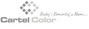 фото mini №2, Budmat hanger rotary 100 pcs.