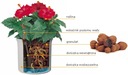фото mini №5, Hydroponics installations without winters liner 28/ 19 basket (bracket)