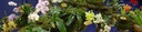фото mini №5, Floragard bio lining exotisch for orchids epifitow 3l marina-comfort