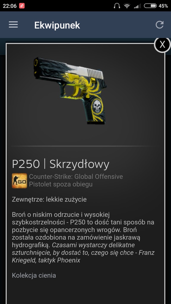 Skin do cs go P250 Skrzydłowy MW