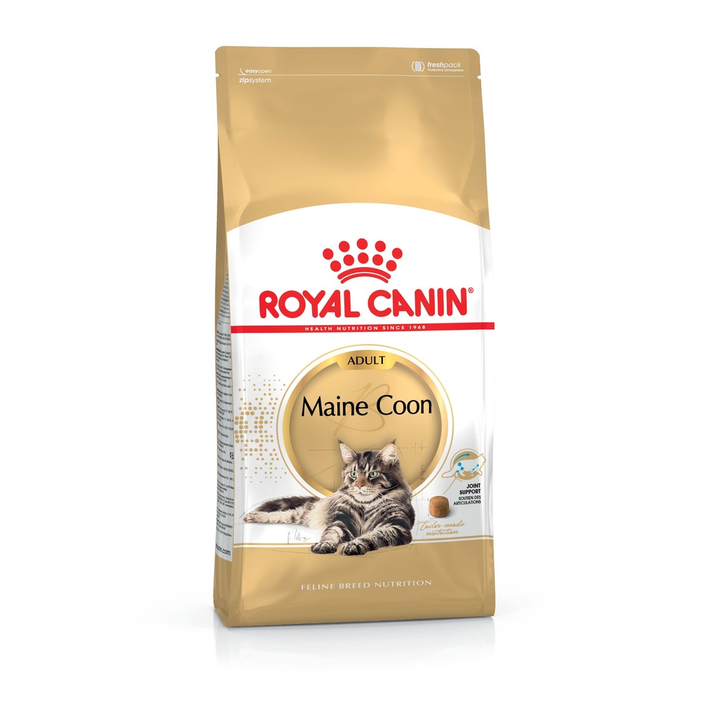 Royal Canin Feline Breed Maine Coon 10kg dla kota