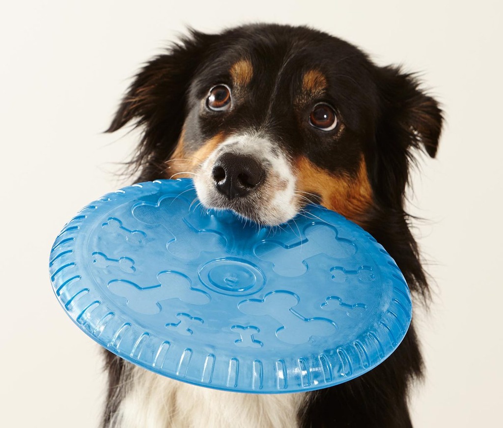 Frisbee Dysk Aport Pływający Tchibo dla psa 22 cm