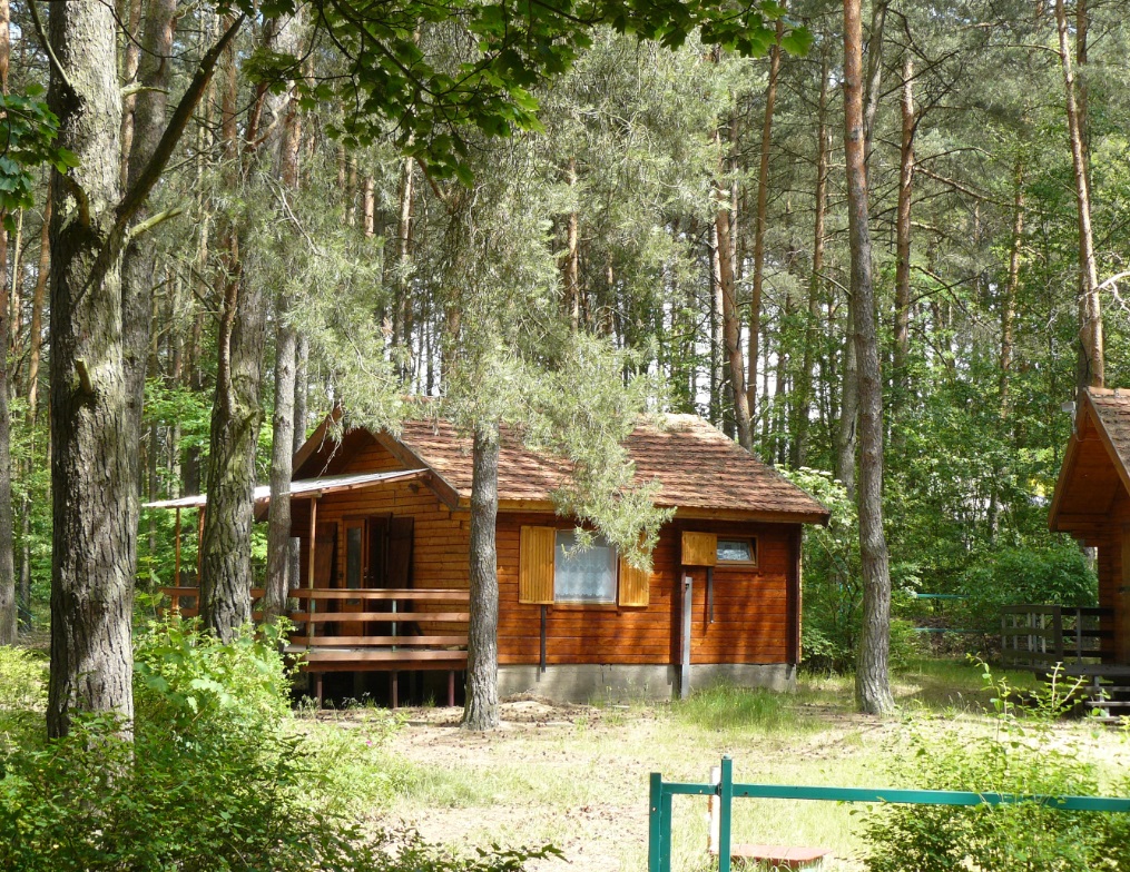 wynajmę domki letniskowe Trzcianka jezioro Sarcze