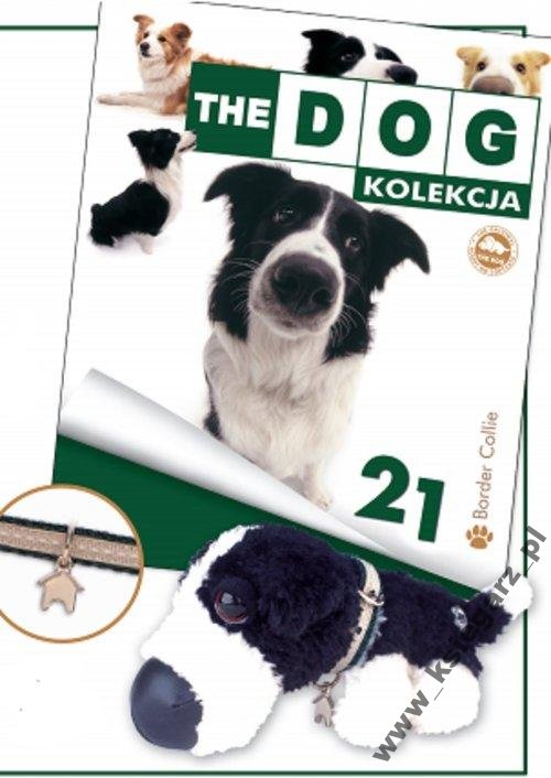 The Dog Kolekcja Nr 21 Border Collie Piesek 6150623902 Oficjalne Archiwum Allegro