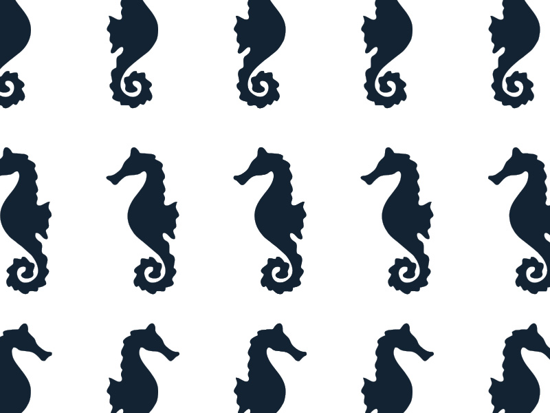 Szablon na ścianę Seahorse wzór konik morski