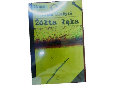 Żółta łąka - Vaida Blazyte
