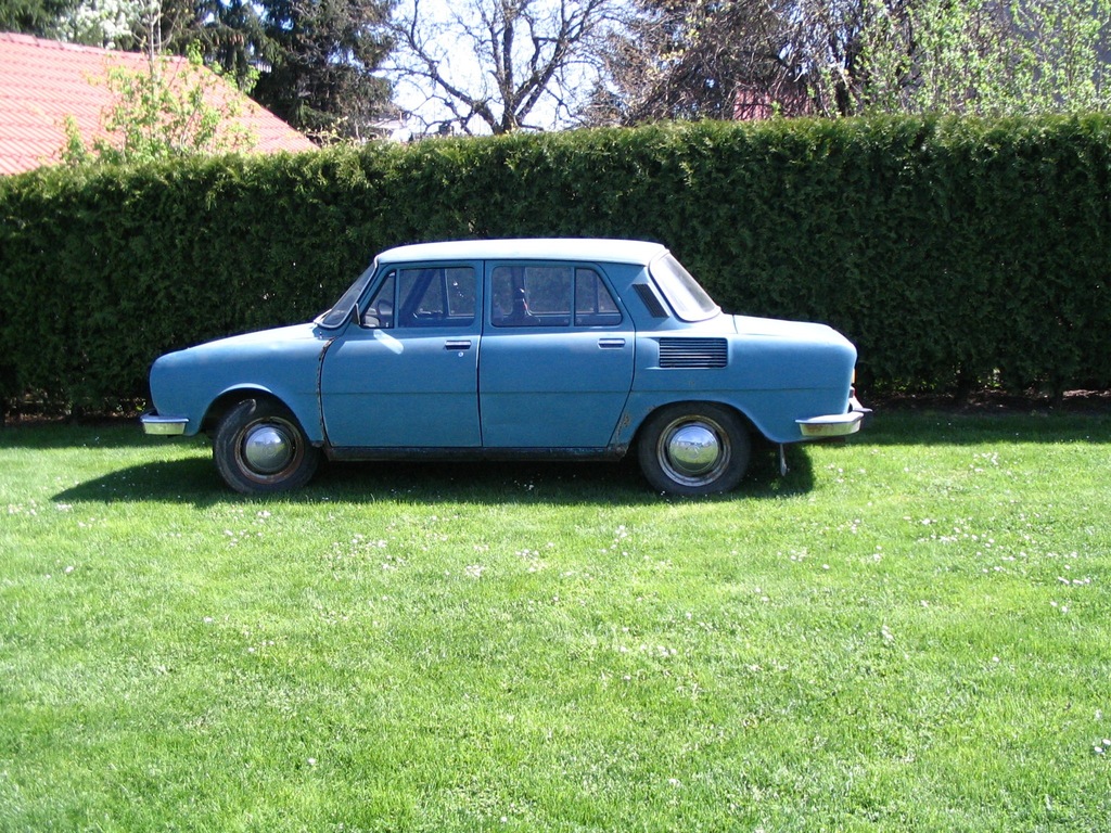 SKODA 100