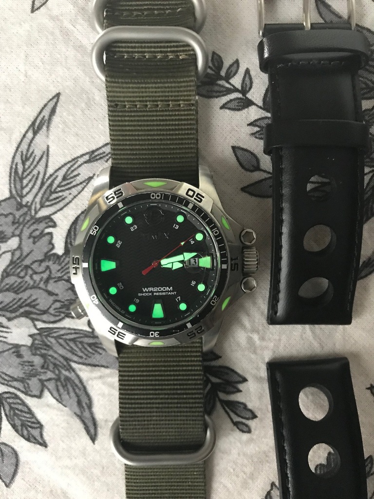 Zegarek Timex Expedition Dive Style T49615 7185169101 oficjalne archiwum Allegro