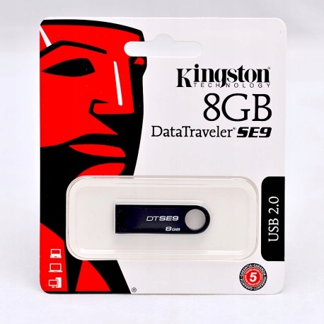 Kingston dtse9 не видит компьютер