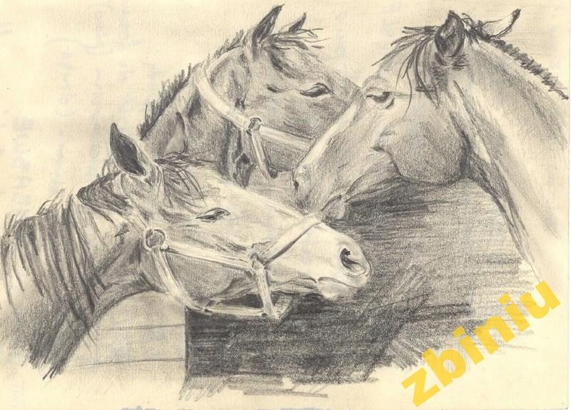 Papier do decoupage 60g konie , kuce, 1-72