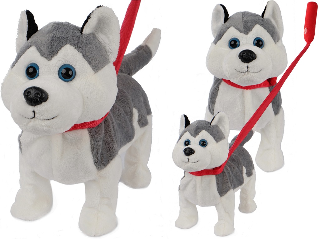 INTERAKTYWNY PIESEK CHODZI NA SMYCZY Husky Śpiewa