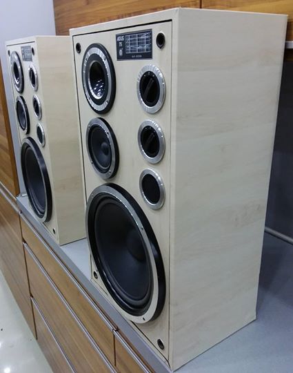 Kolumny Tonsil Altus 75 po renowacji