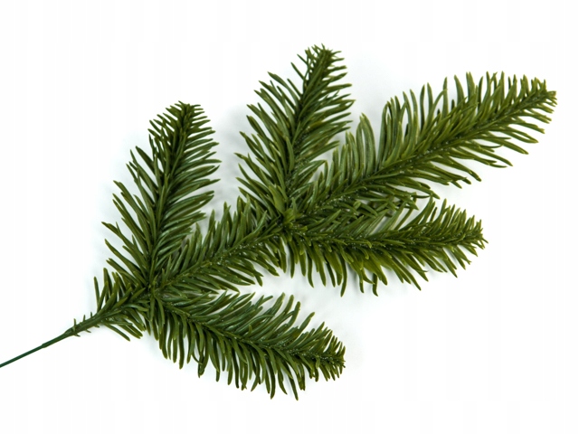 GAŁĄZKA SOSNA świerk sosnowa IGLASTA 30 cm - 7663920275 ...