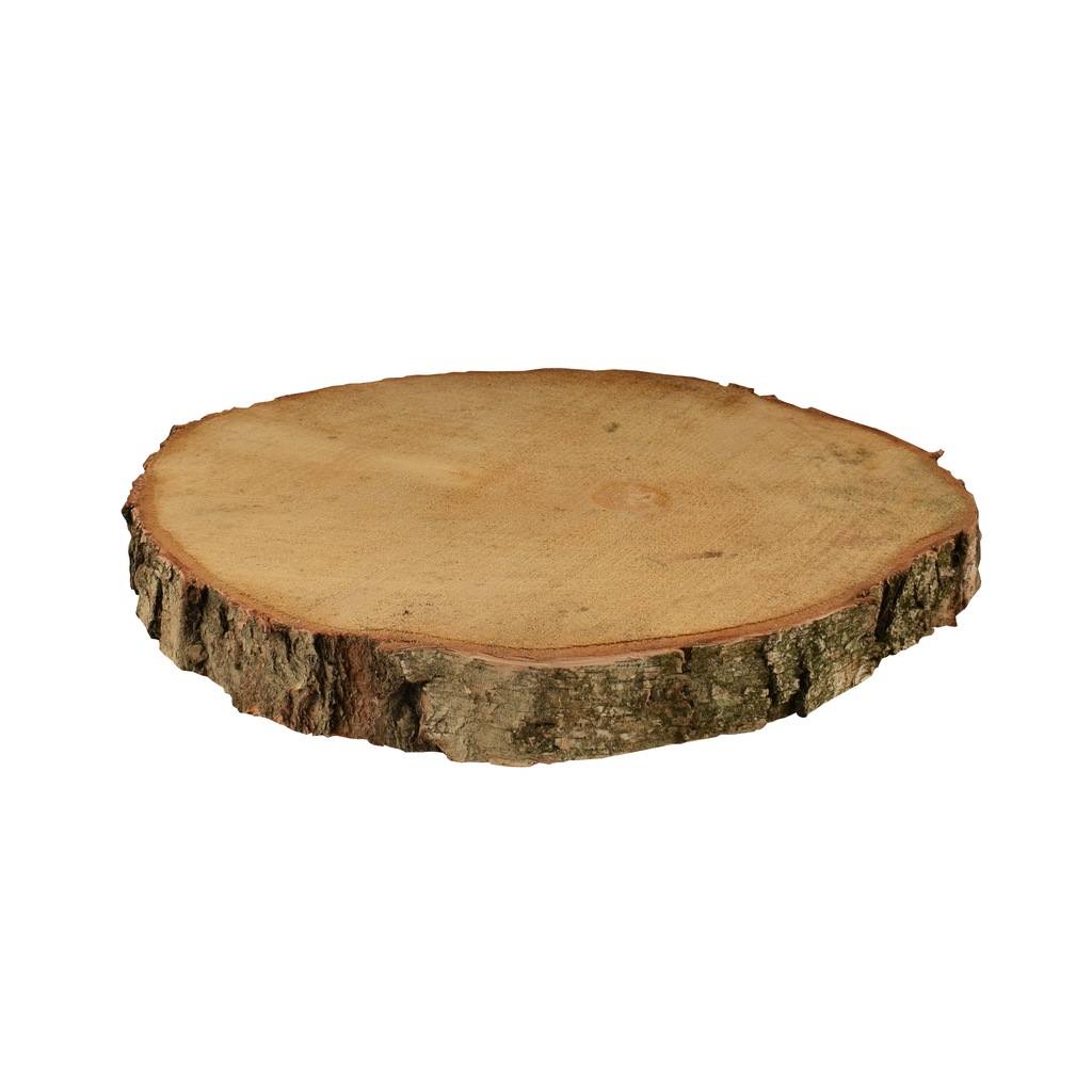 Plaster, krążek drewna o śr. 38-45 cm, gr. 4,5 cm