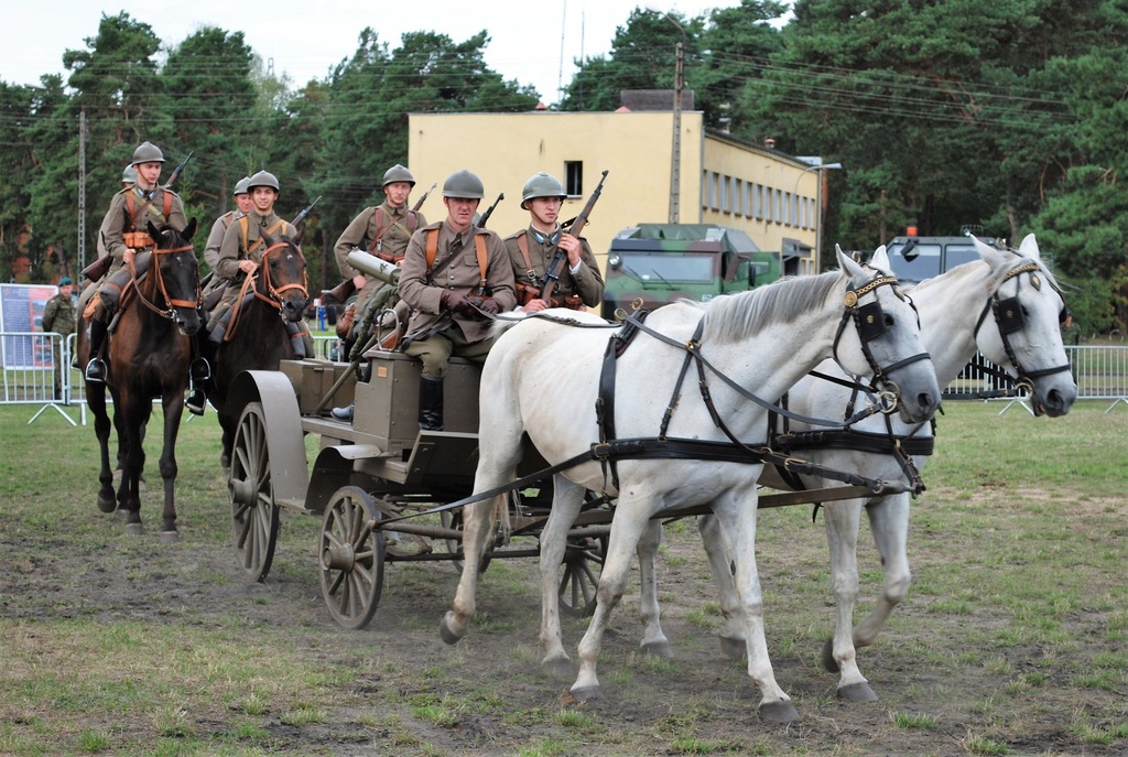Taczanka wz 28 -Wynajem