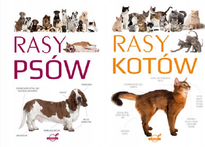 Rasy psów + Rasy kotów