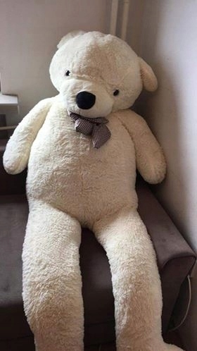 PLUSZOWY MIŚ GIGANT 220CM MASKOTKA duży WARSZAWA