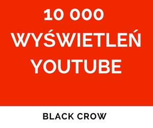 10 000 Wyswietlenia Youtube Youtube Views 7153055631 Oficjalne Archiwum Allegro - kod promocyny roblox youtube