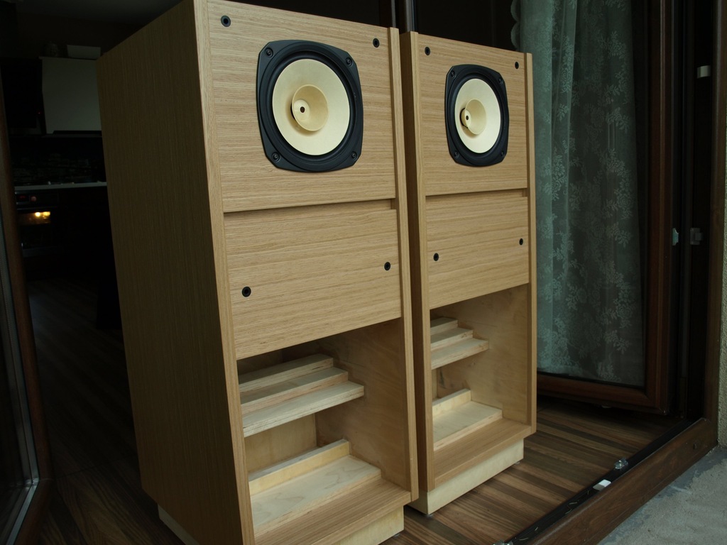 Fostex FE206 En back loaded horn