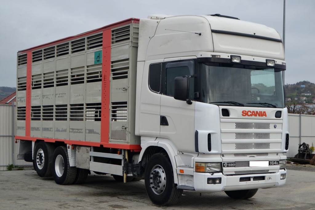 Scania 164 580 * Bydlarka / Do Przewozu Żywca* 6x2