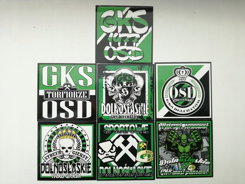 VLEPKI GKS BEŁCHATÓW (HUTNIK WISŁA SANDOMIERZ)