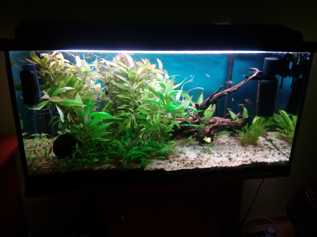 Akwarium 200l super zestaw