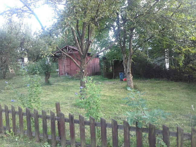 sprzedam działkę rekreacyjną ROD Bielsko-Biała