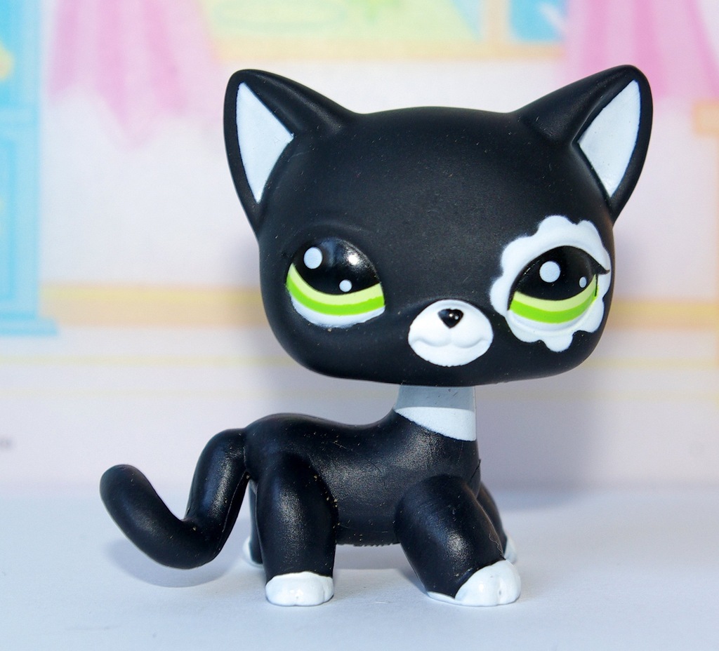 kot kotek shorthair LITTLEST PET SHOP lps czarny