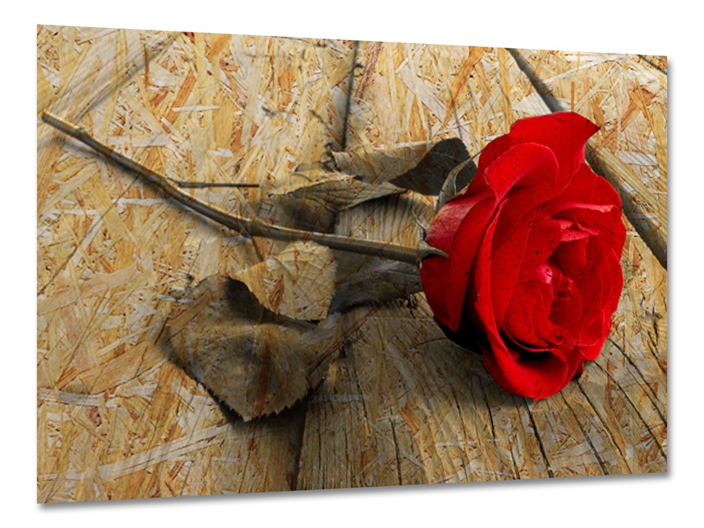 OBRAZ - DREWNIANA PŁYTA OSB - DRUK UV - 120x80