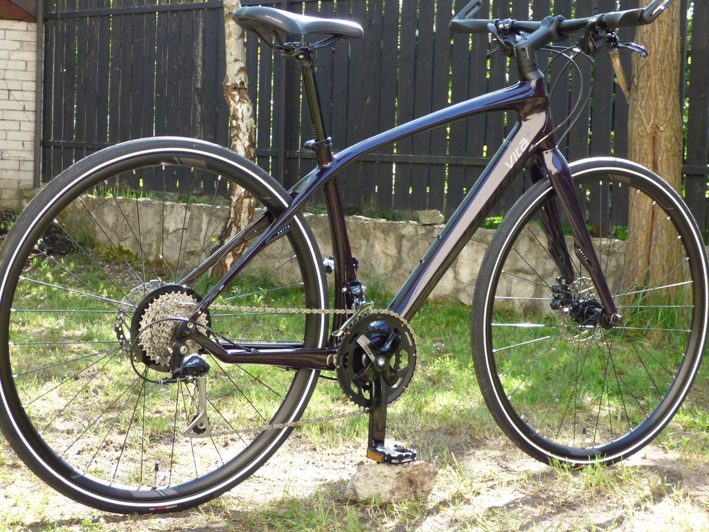 specialized vita comp carbon