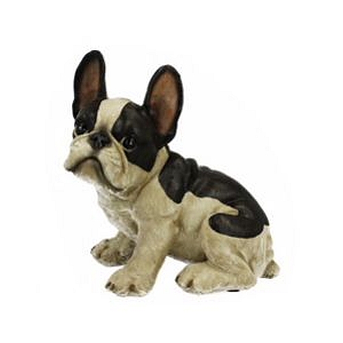 Figurka pieska Buldog Francuski łaty siedzący 25cm