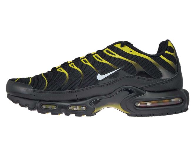 wawa nike shoes