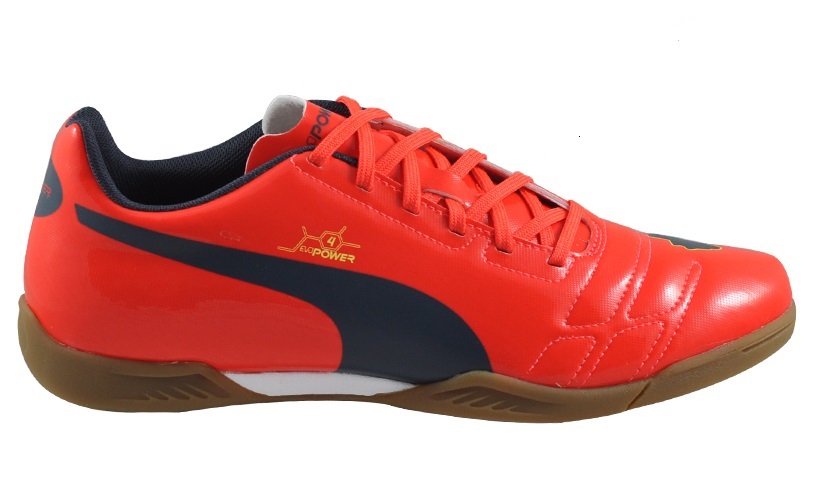 evopower 4.2