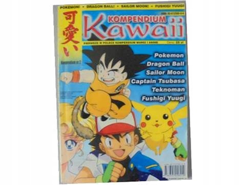 Kompendium kawaii nr 2/2000 - 2000 24h wys