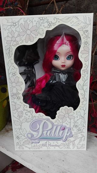 Lalka Pullip sprowadzona z Japonii Cornice 