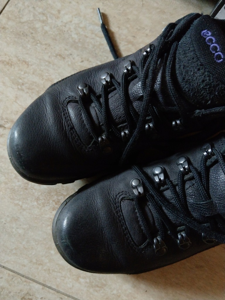 ecco terra walk