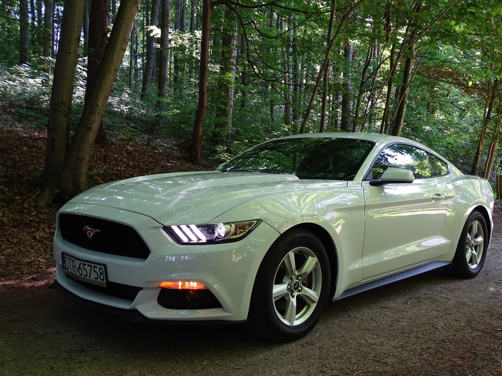 Ford Mustang VI, 2,3 Ecoboost , 24 tys km