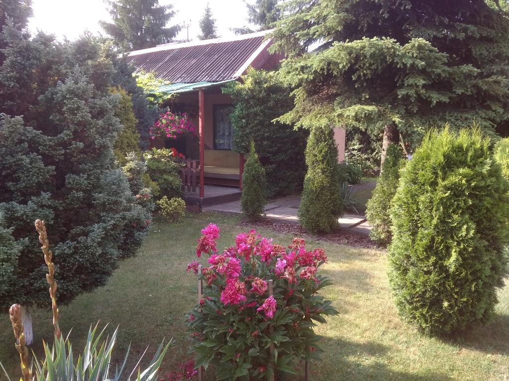 Ogródek działkowy w Chorzowie